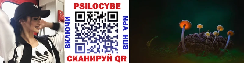 Купить закладки  Верхоянск  Галлюциногенные грибы Psilocybine cubensis 